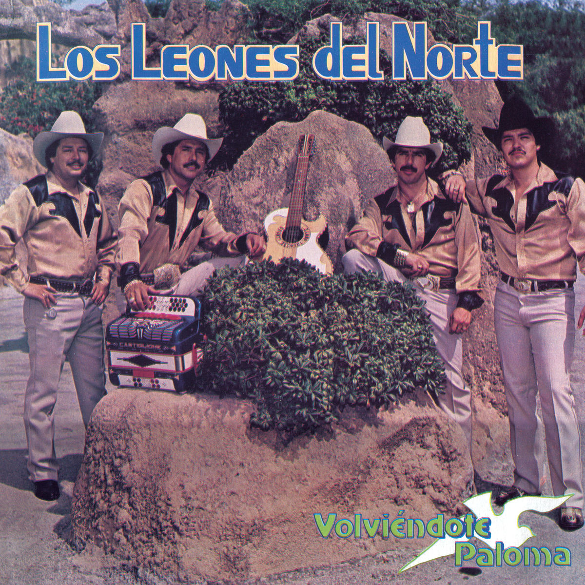 Album cover of Volviéndote Paloma