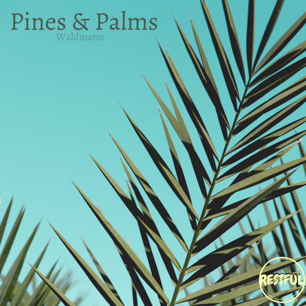 Picture of Pines & Palms