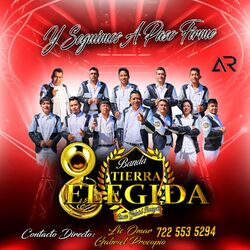 Cover of El Tonto