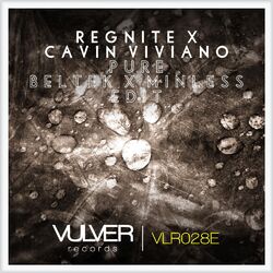 Cover of Pure (Beltek & Minless Edit)