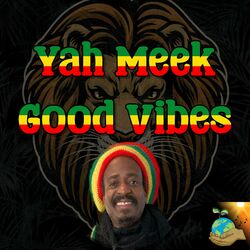 Cover of Good Vibes