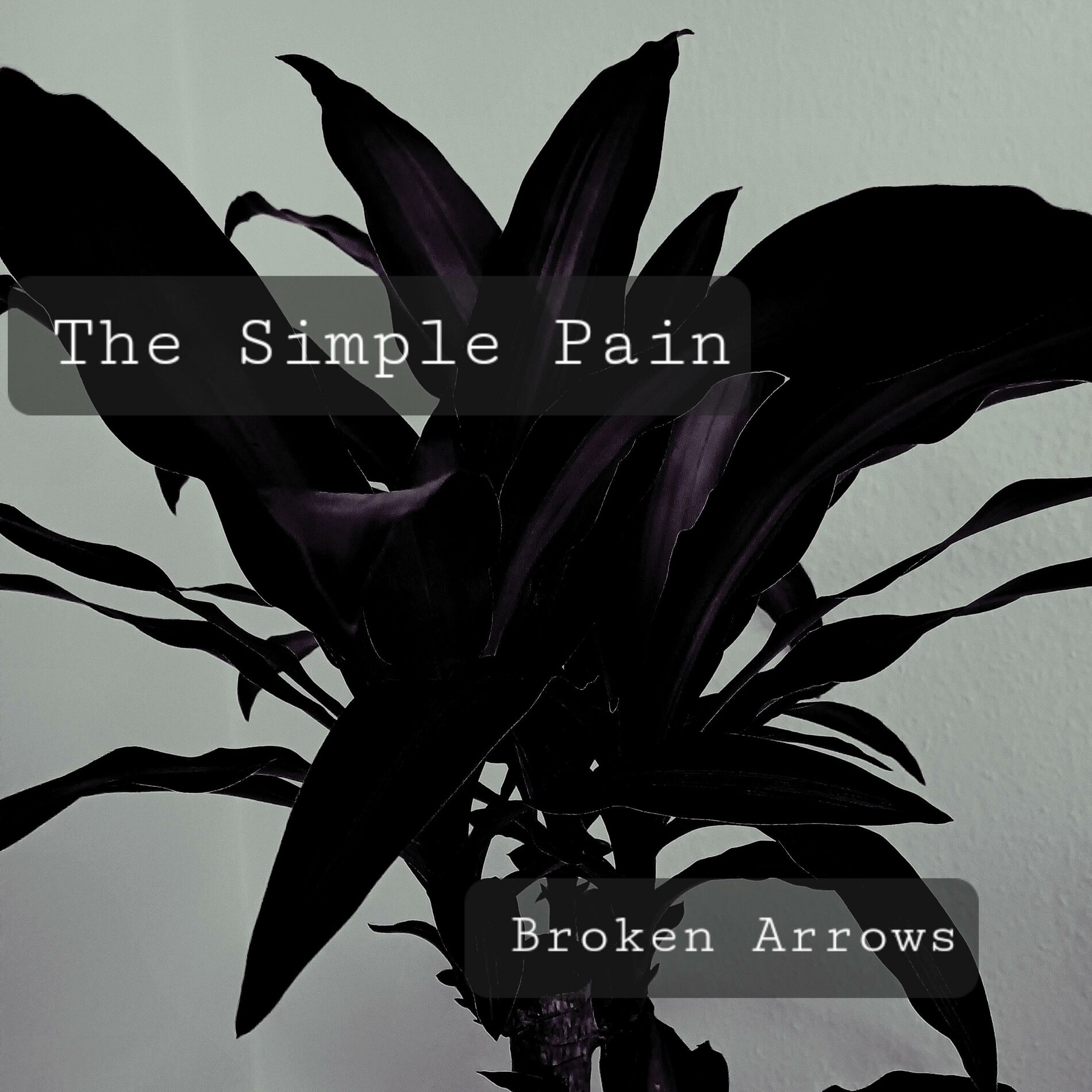 Album cover of Broken Arrows