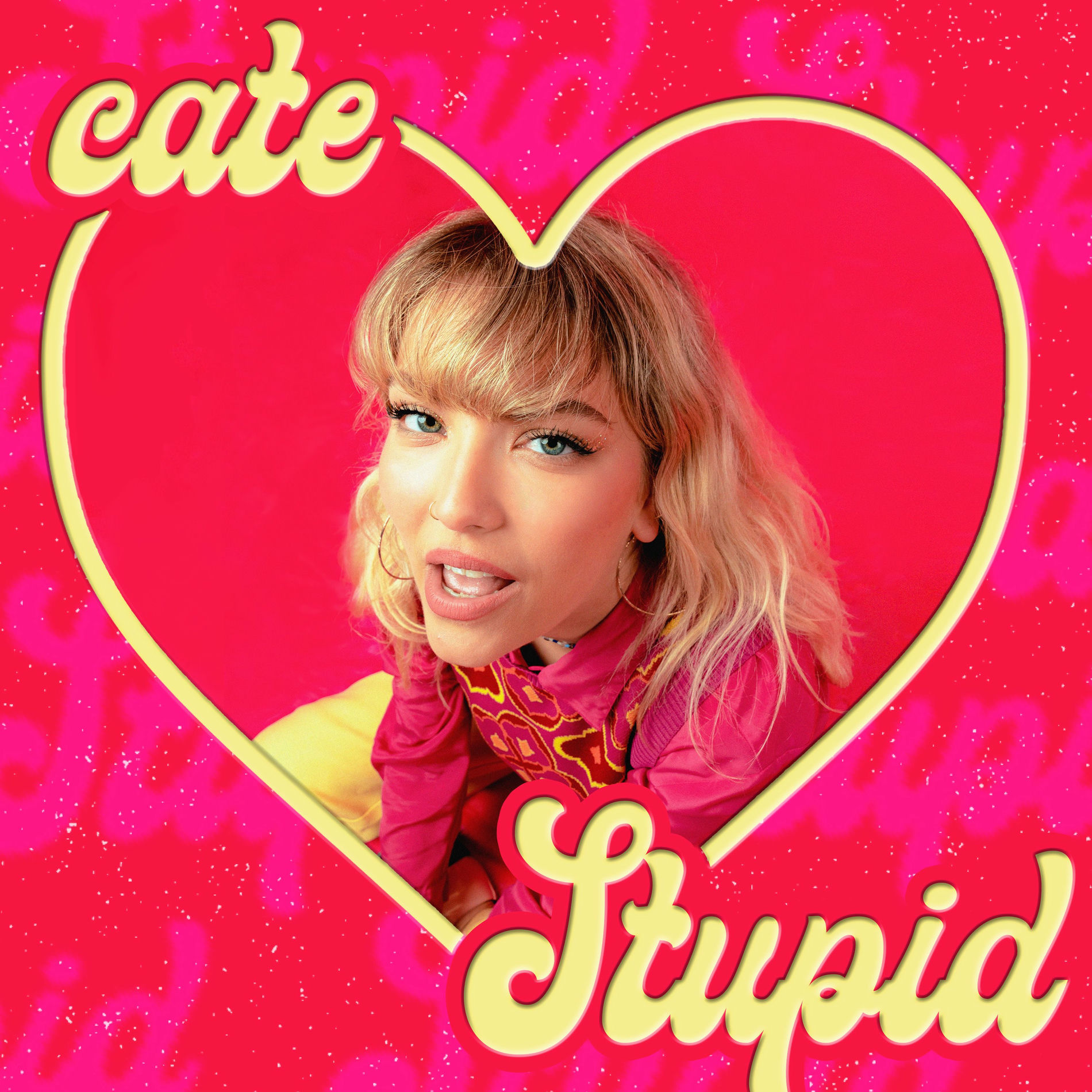 Album cover of Stupid