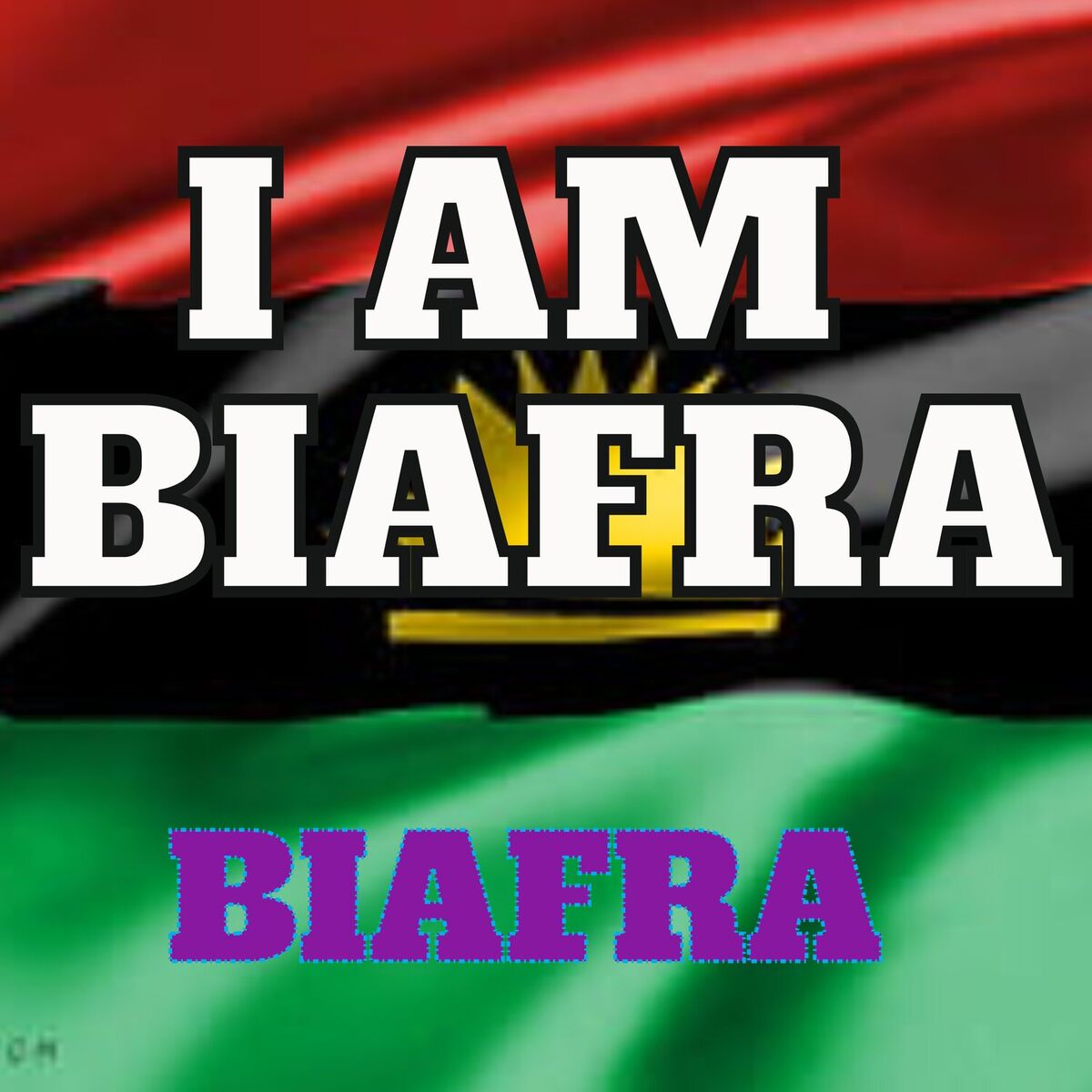 Album cover of I Am Biafra