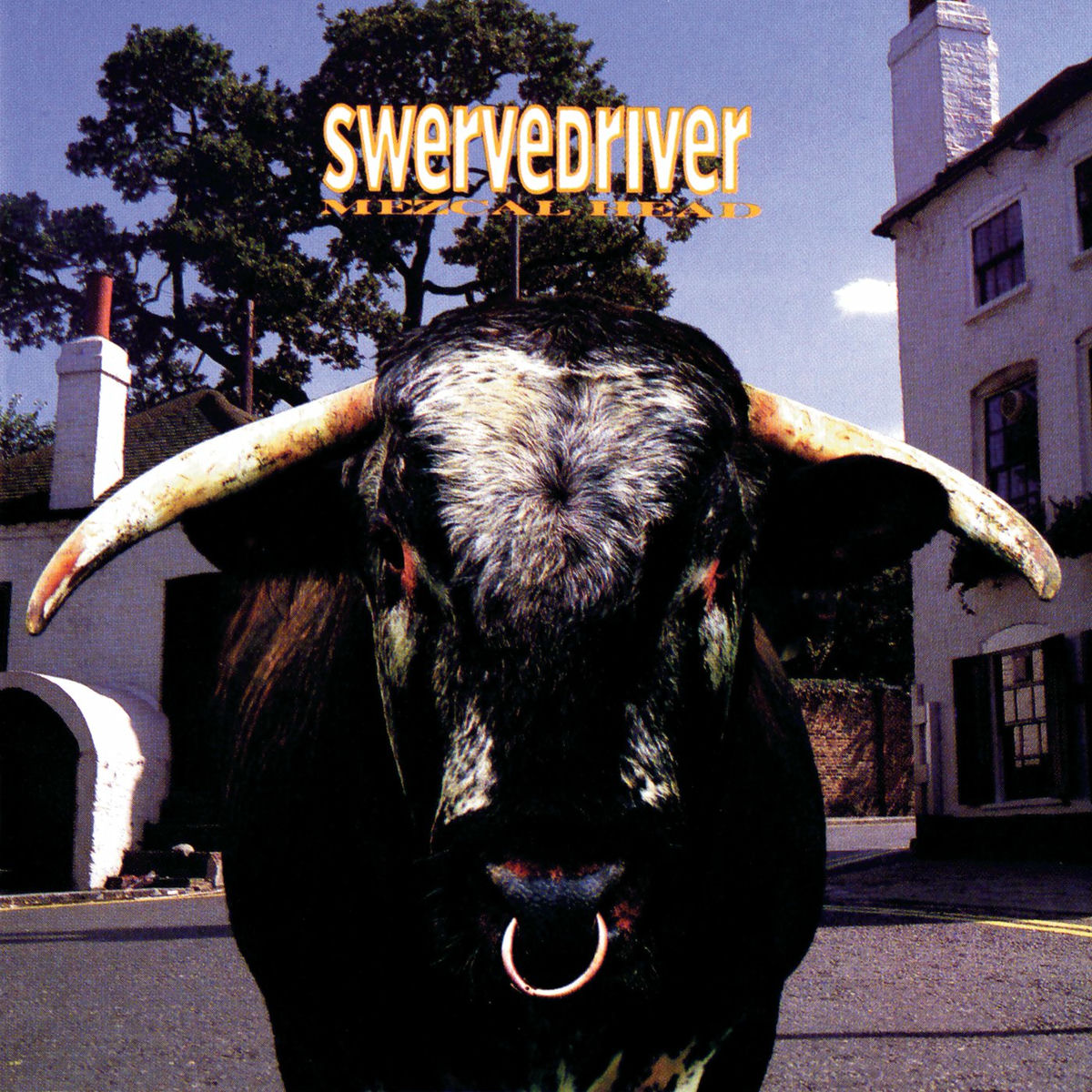 Album cover of Duel