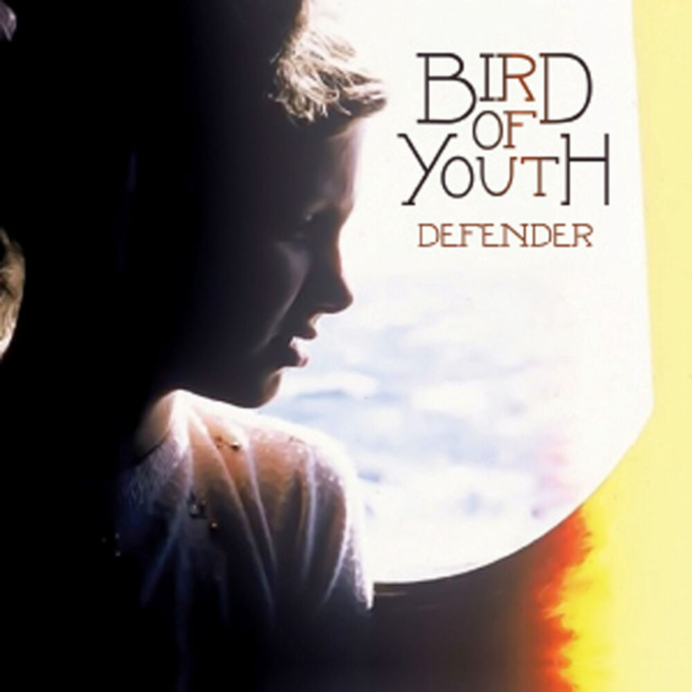 Picture of Defender