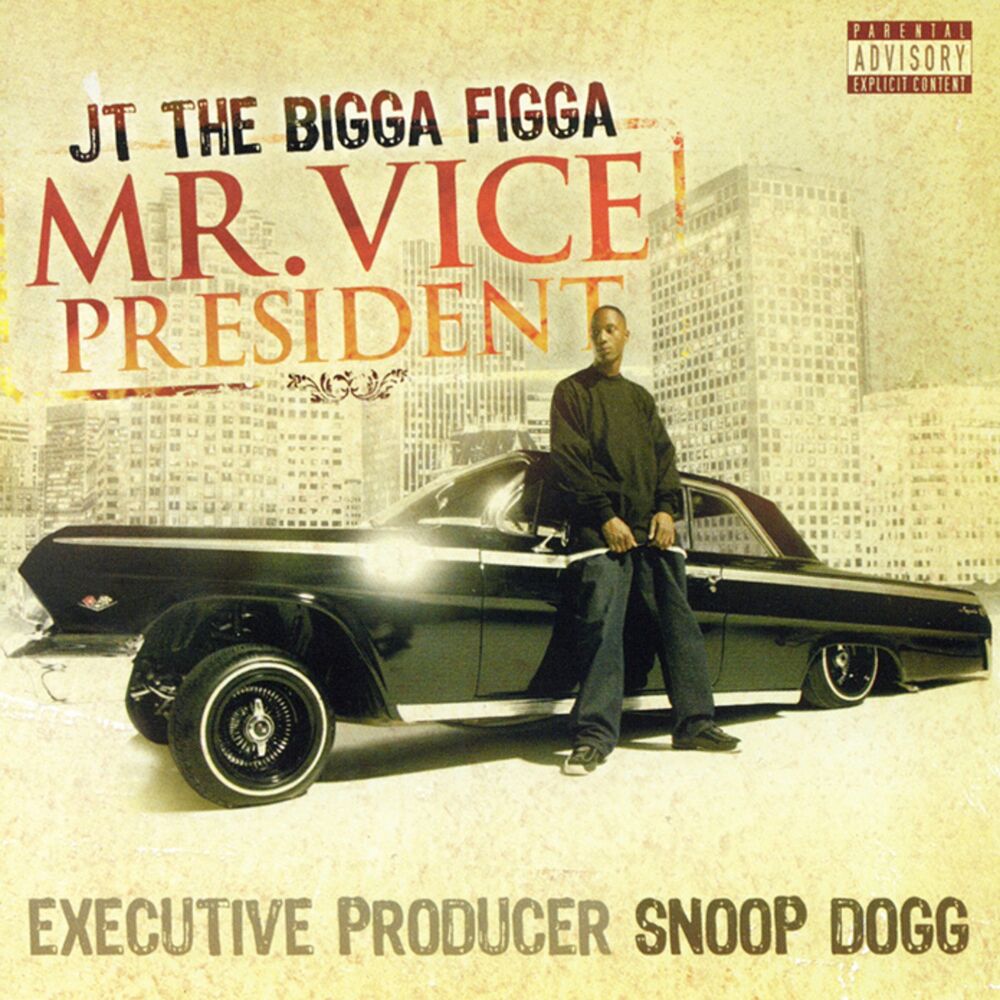 Picture of Mr. Vice President