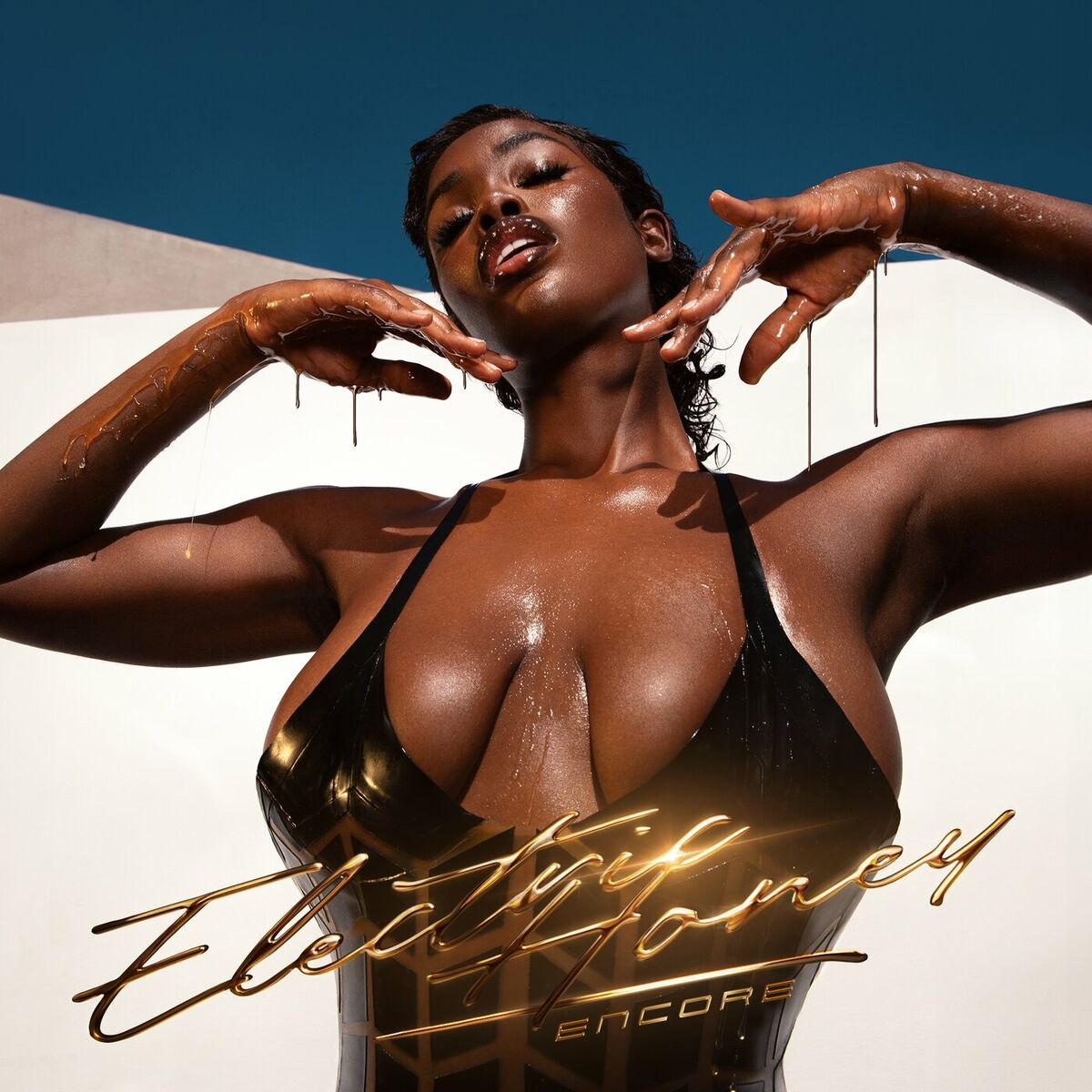Album cover of Houston