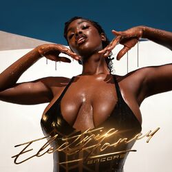 Cover of Electric Honey (Encore)