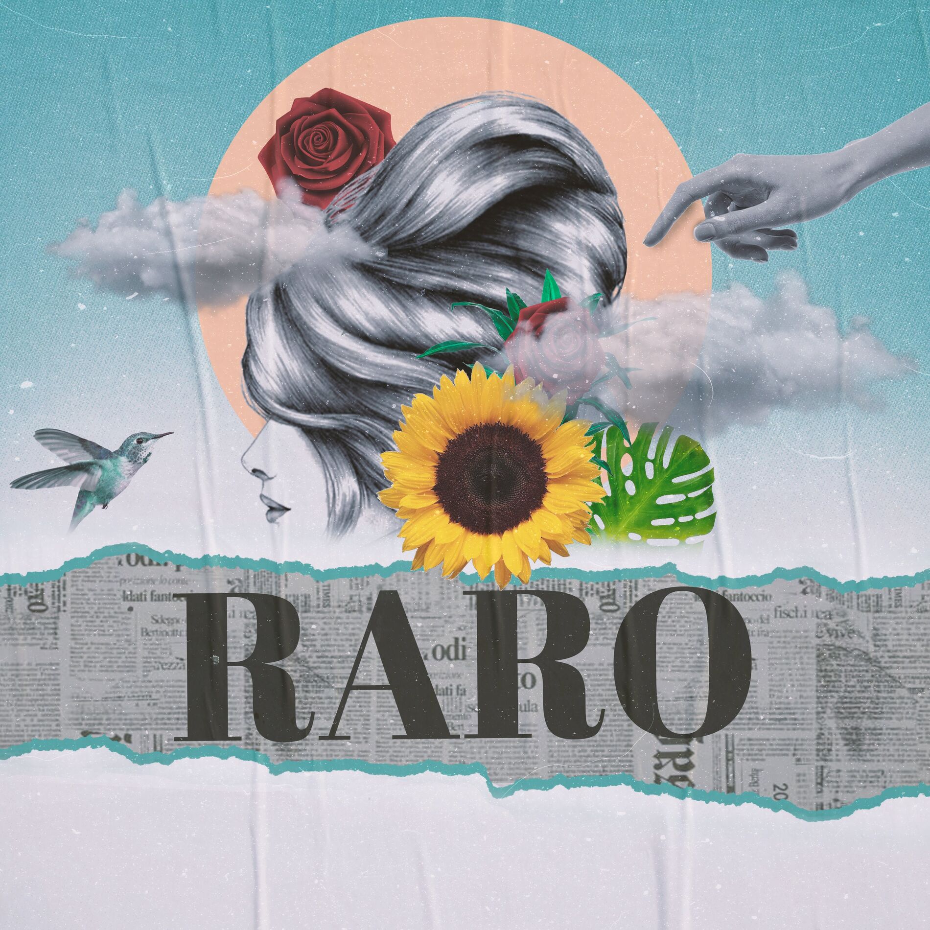 Album cover of Raro