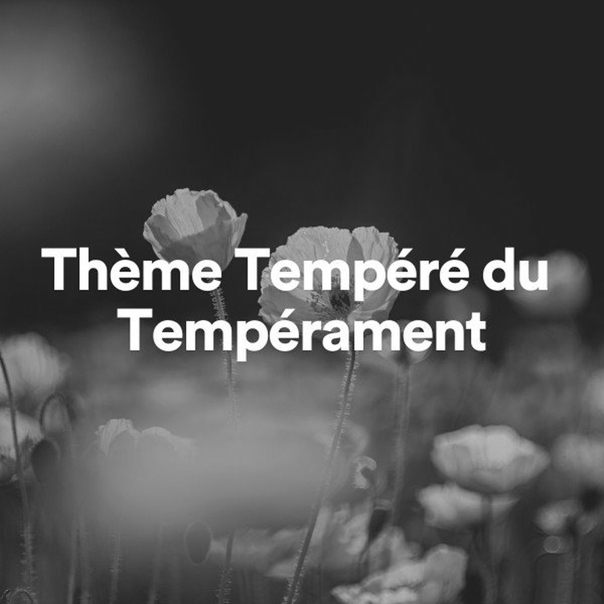 Album cover of Thème Tempéré du Tempérament