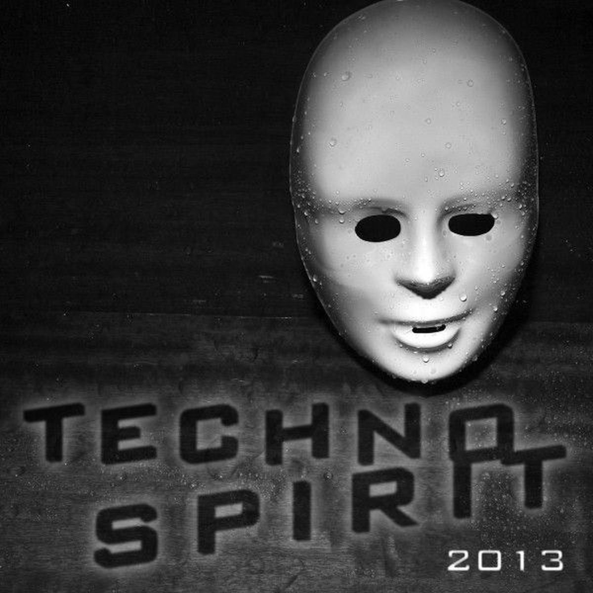 Album cover of Techno Spirit 2013