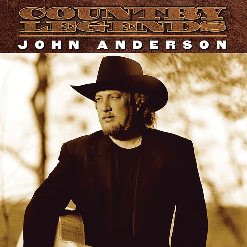 john anderson country singer net worth