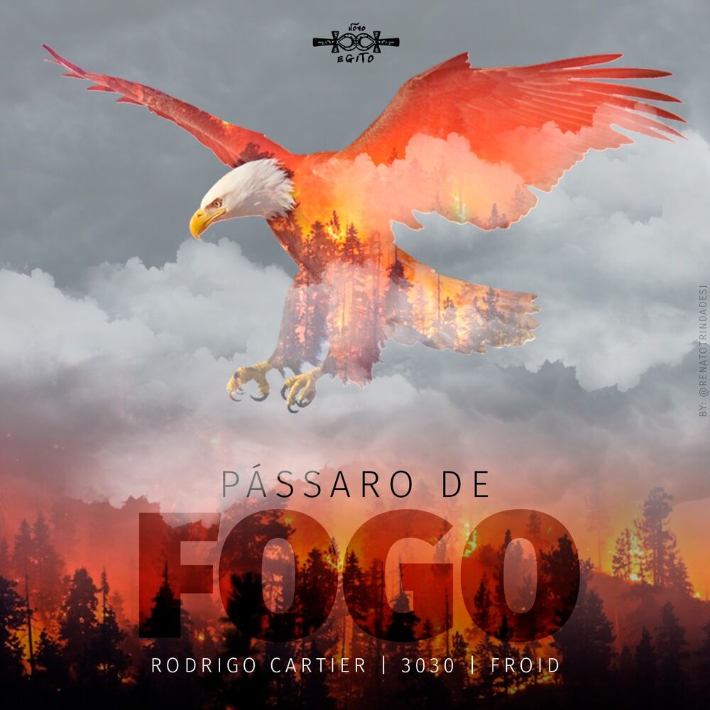 Picture of Pássaro de Fogo