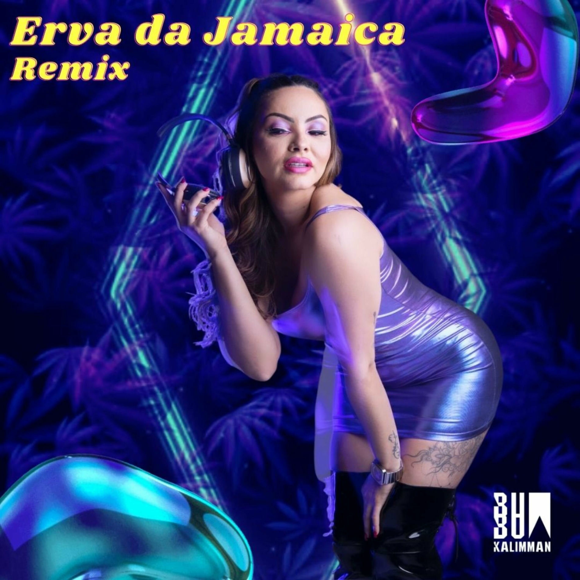 Album cover of Erva da Jamaica Remix (Edit)