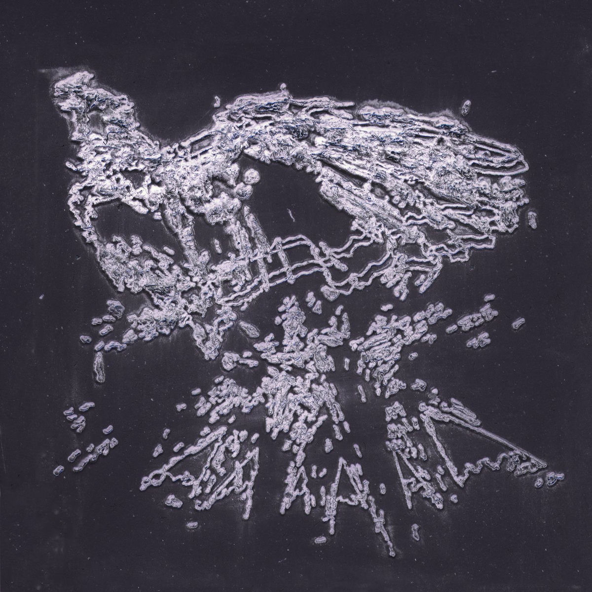 Album cover of vuela, y sus pupilas se dilatan