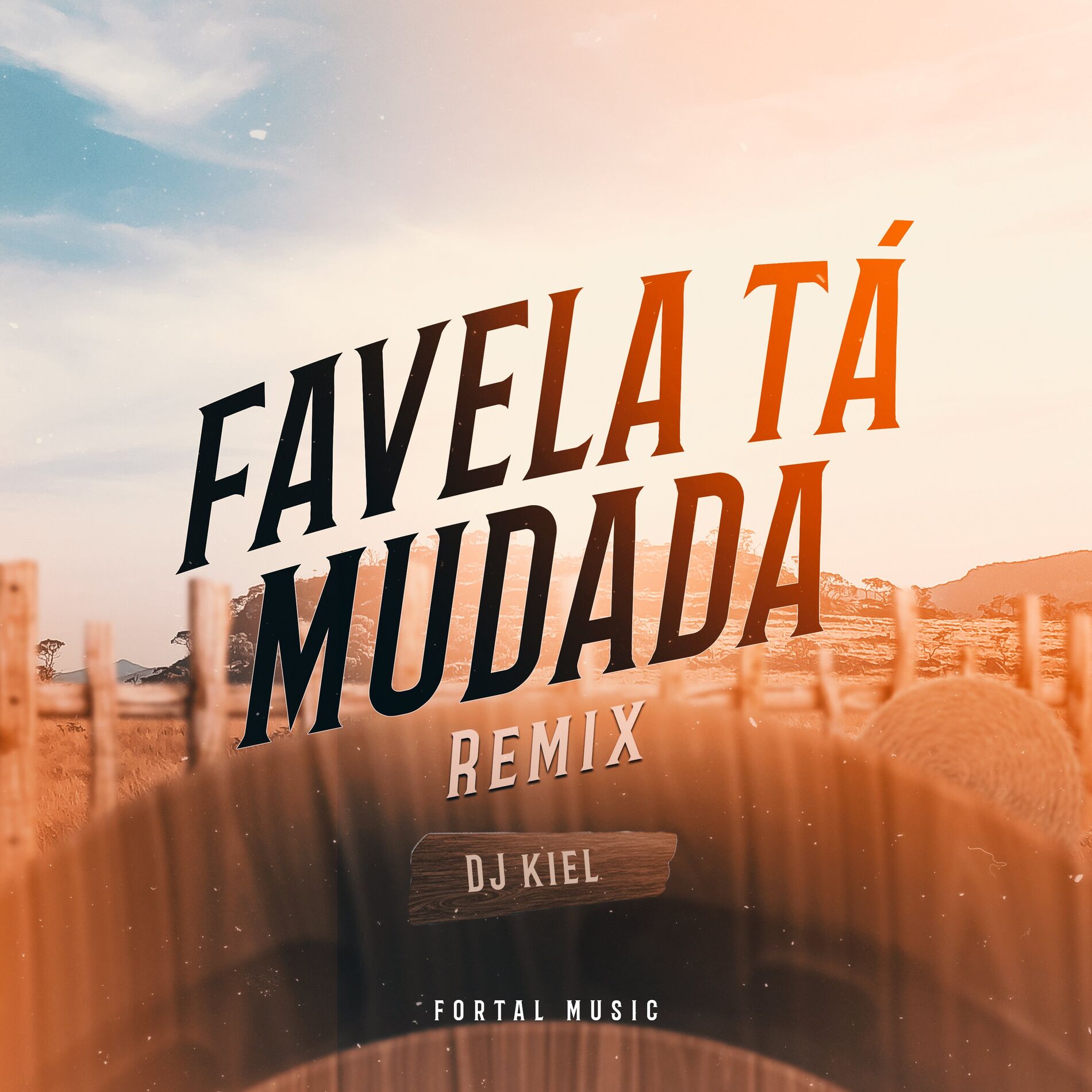 Album cover of Favela tá Mudada (Remix)
