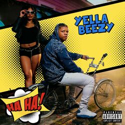 Cover of Ha Ha
