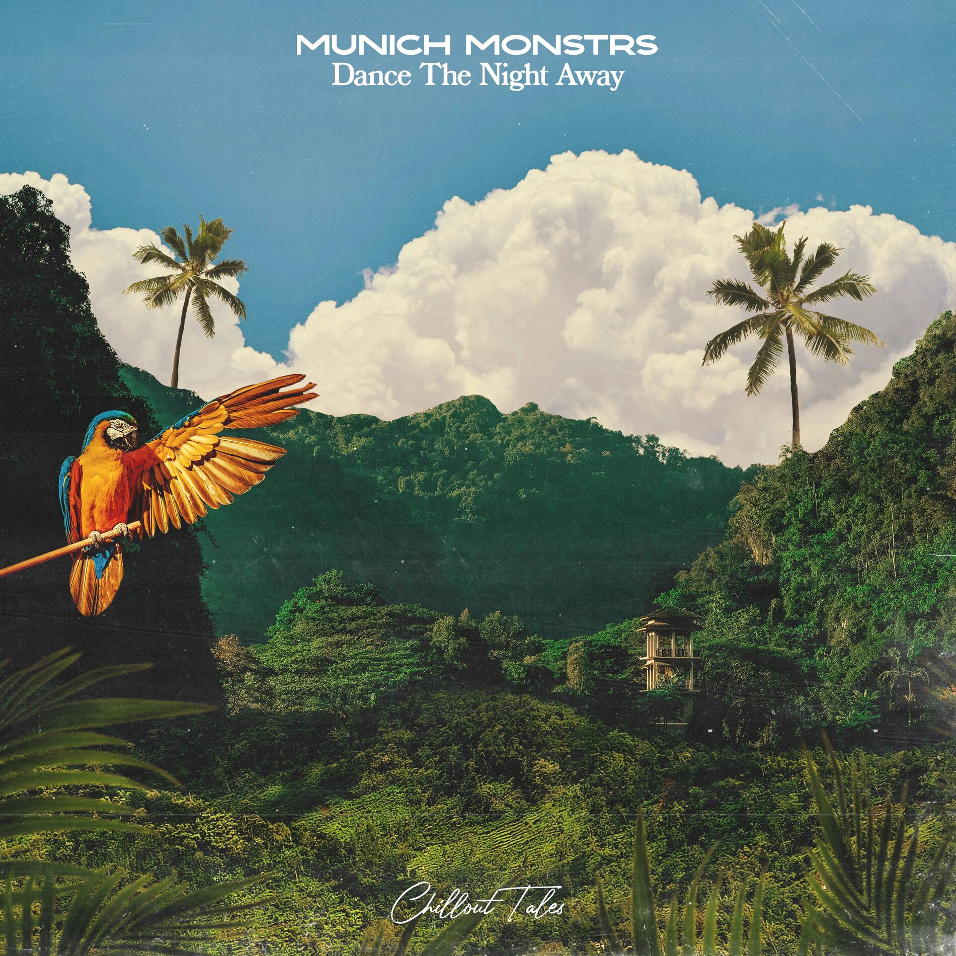 Album cover of Dance The Night Away