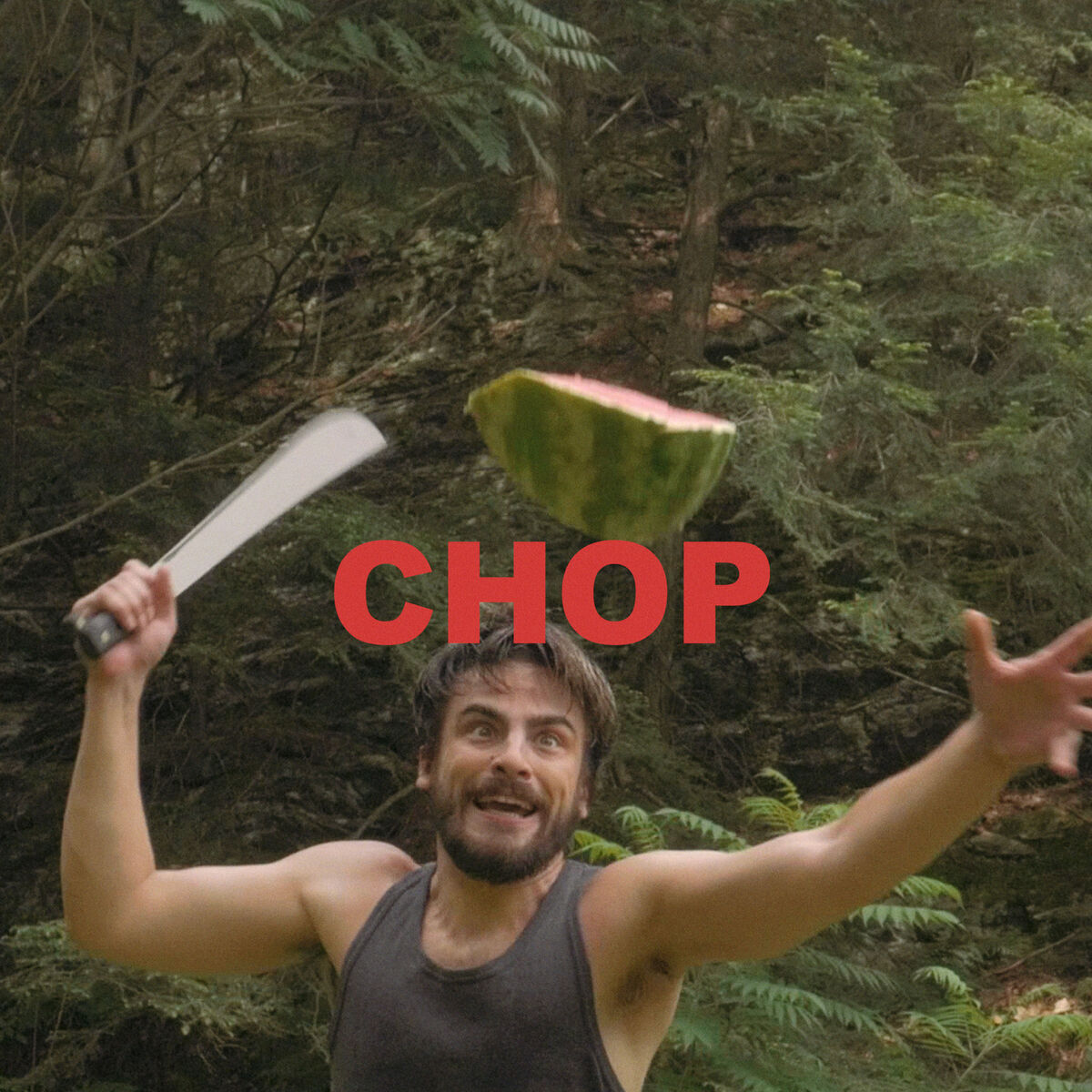 Album cover of Chop