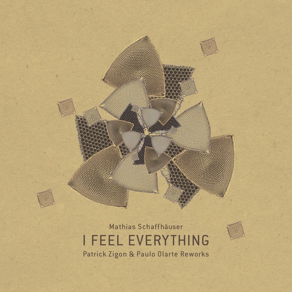 Picture of I Feel Everything
