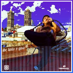 Cover of Se Baila y Goza