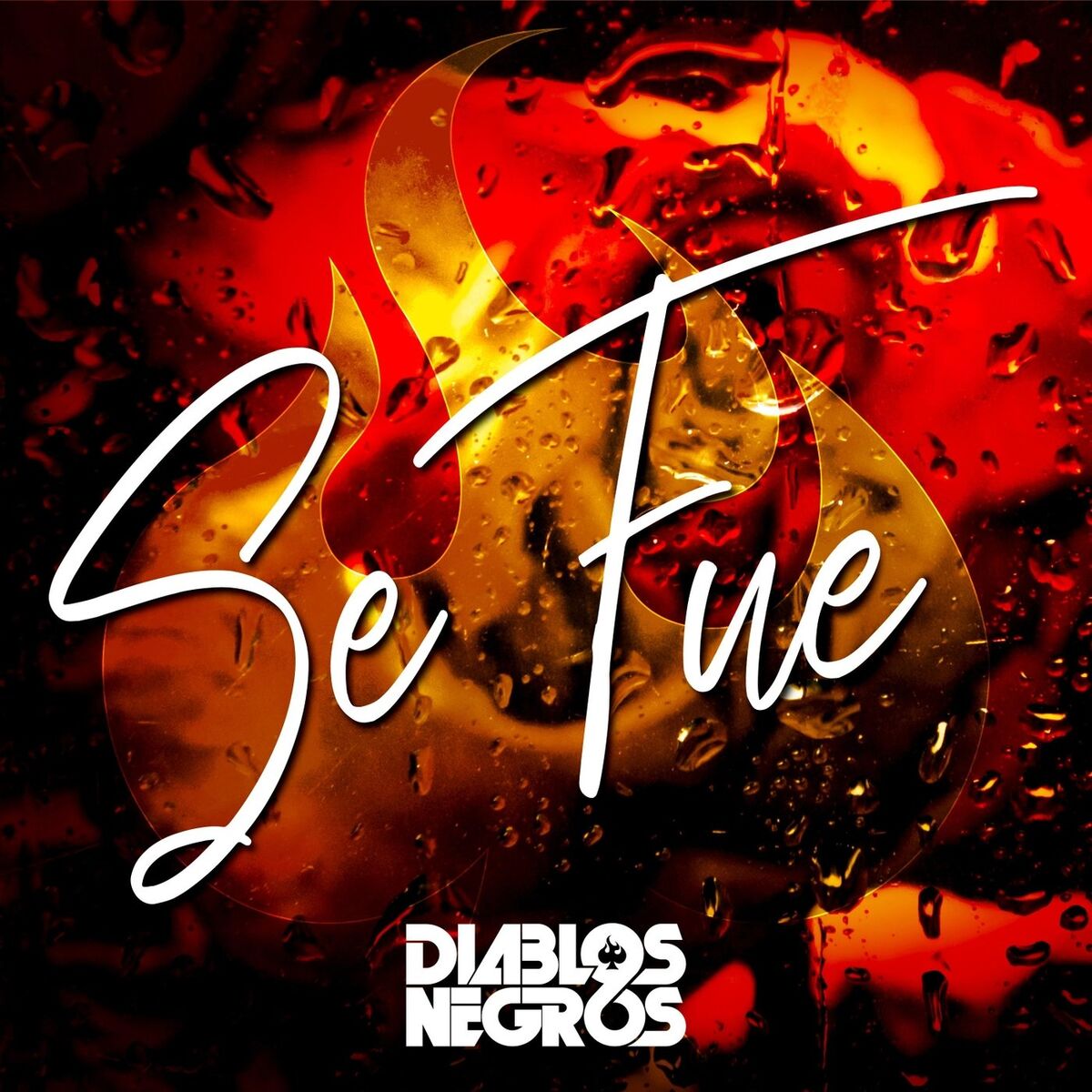 Album cover of Se Fue