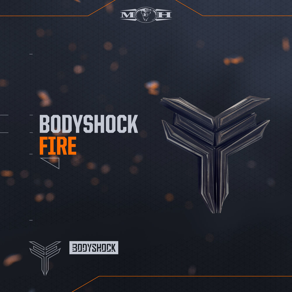 Picture of Fire
