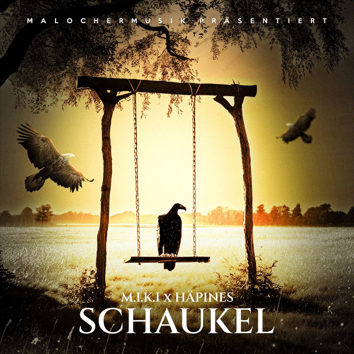 Album cover of Schaukel