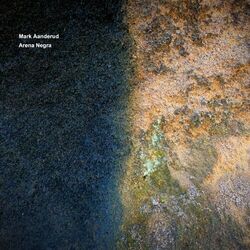 Cover of Arena Negra