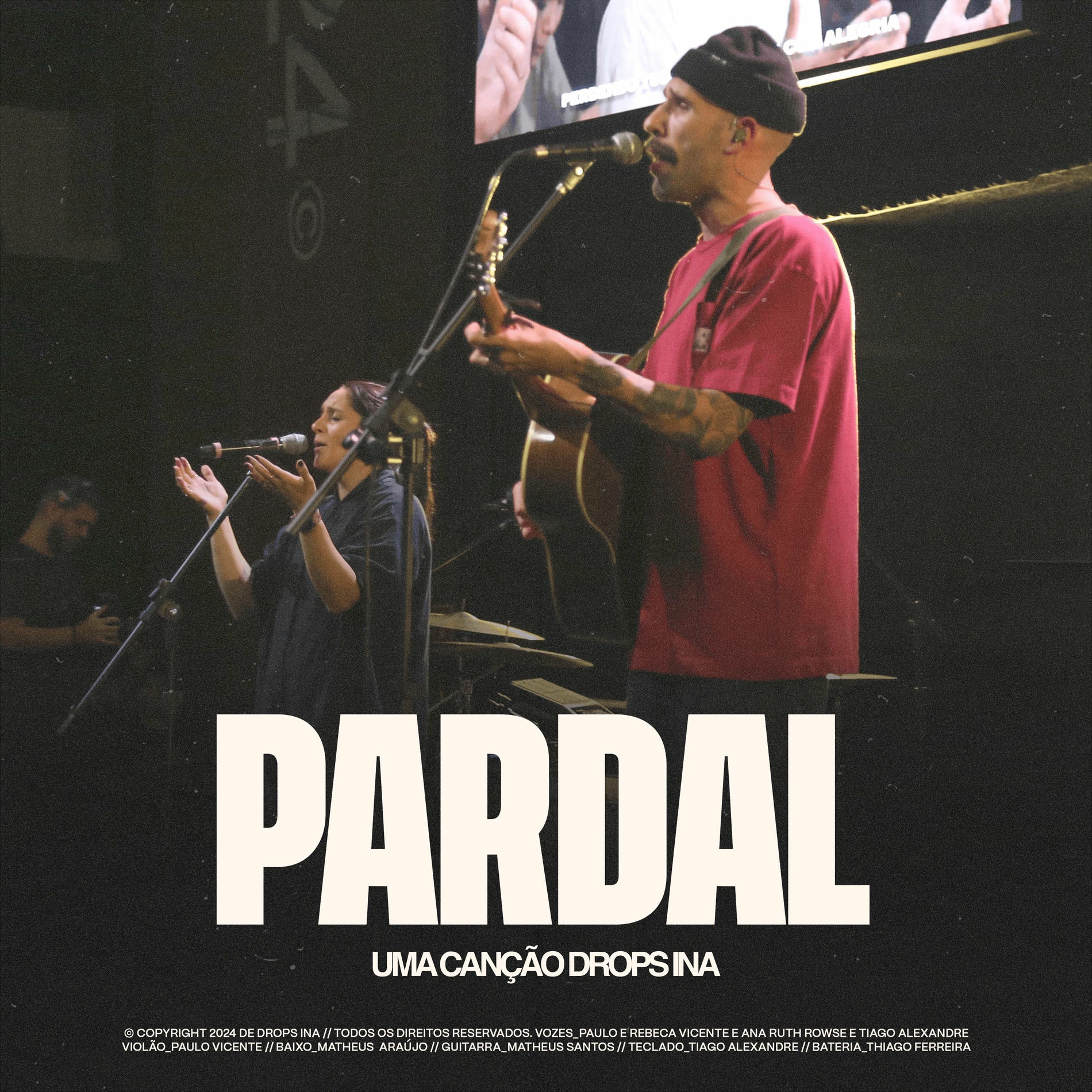 Album cover of Pardal