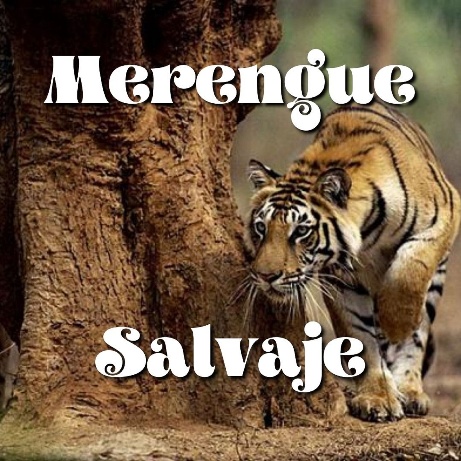 Album picture of Merengue Salvaje