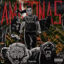 Cover of Amazonas