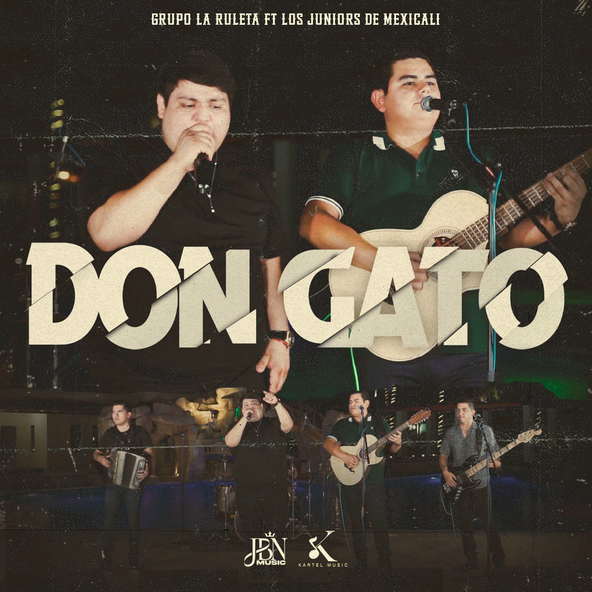 Album cover of Don Gato (feat. Los Juniors De Mexicali)
