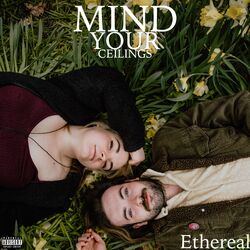 Cover of Mind Your Ceilings