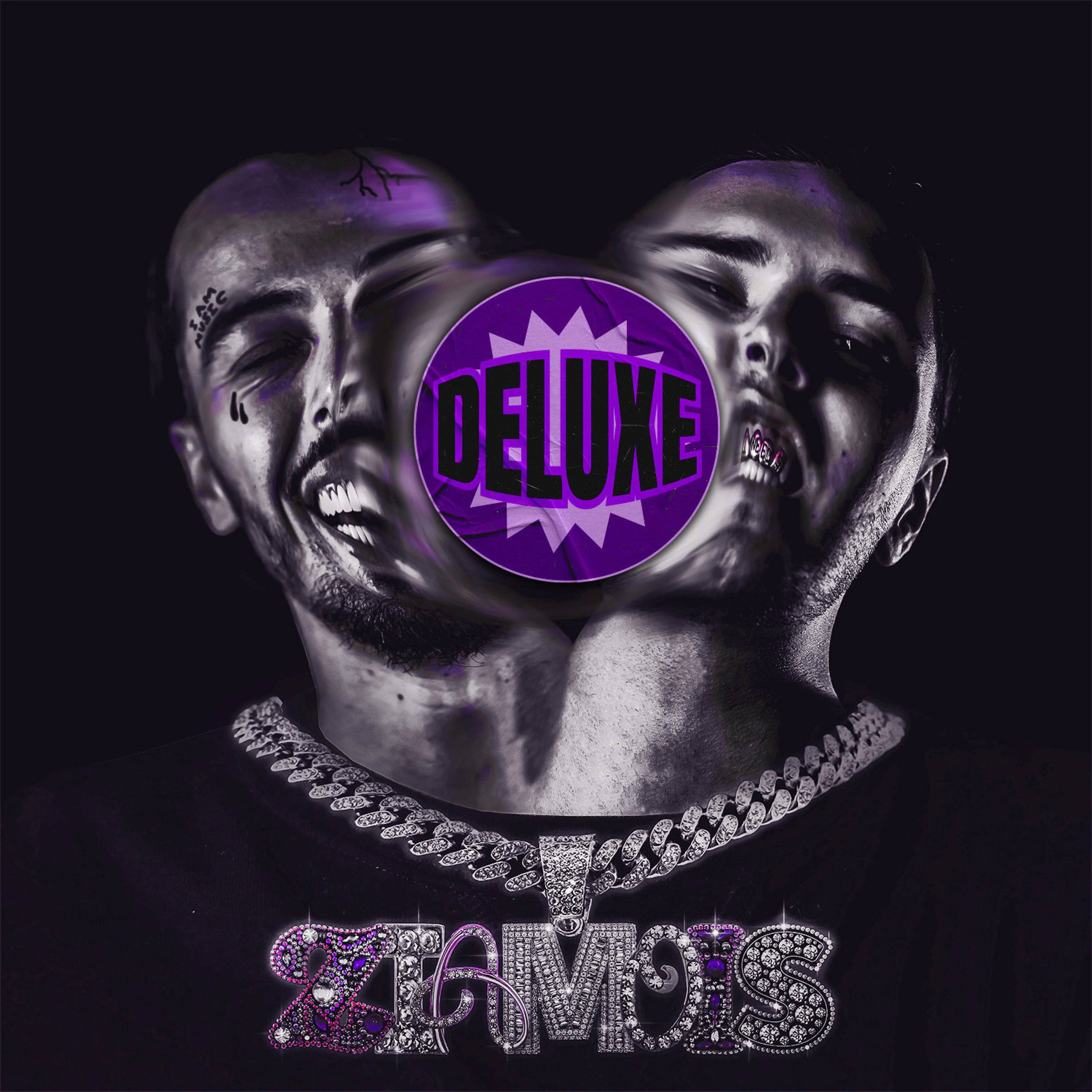 Album cover of Ziamois Deluxe