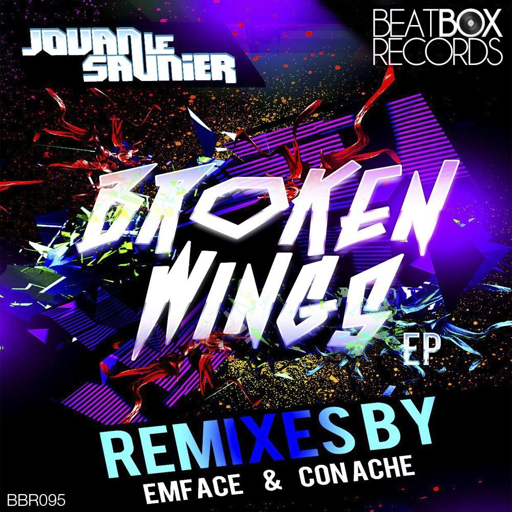 Picture of Broken Wings