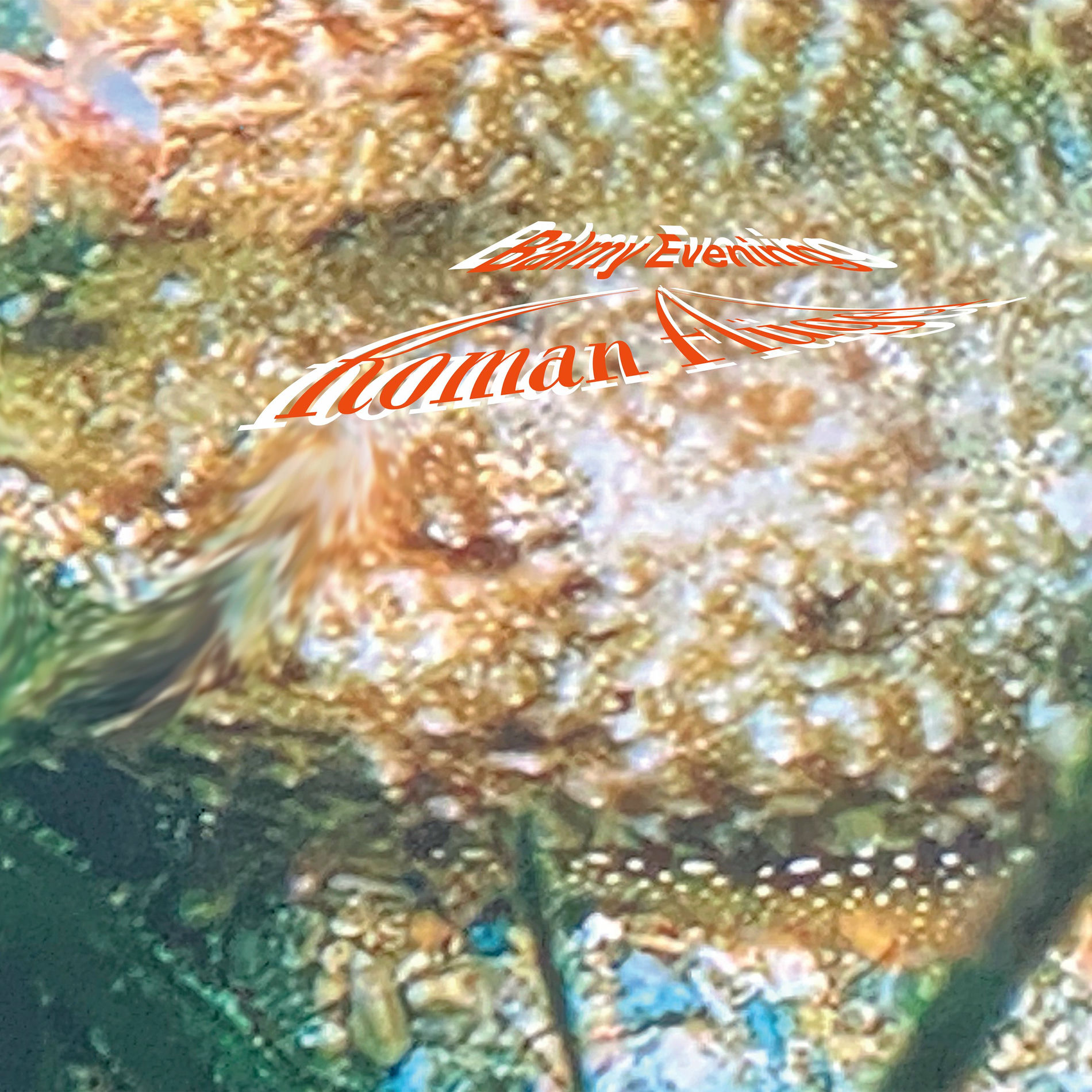Album cover of Duftschulter