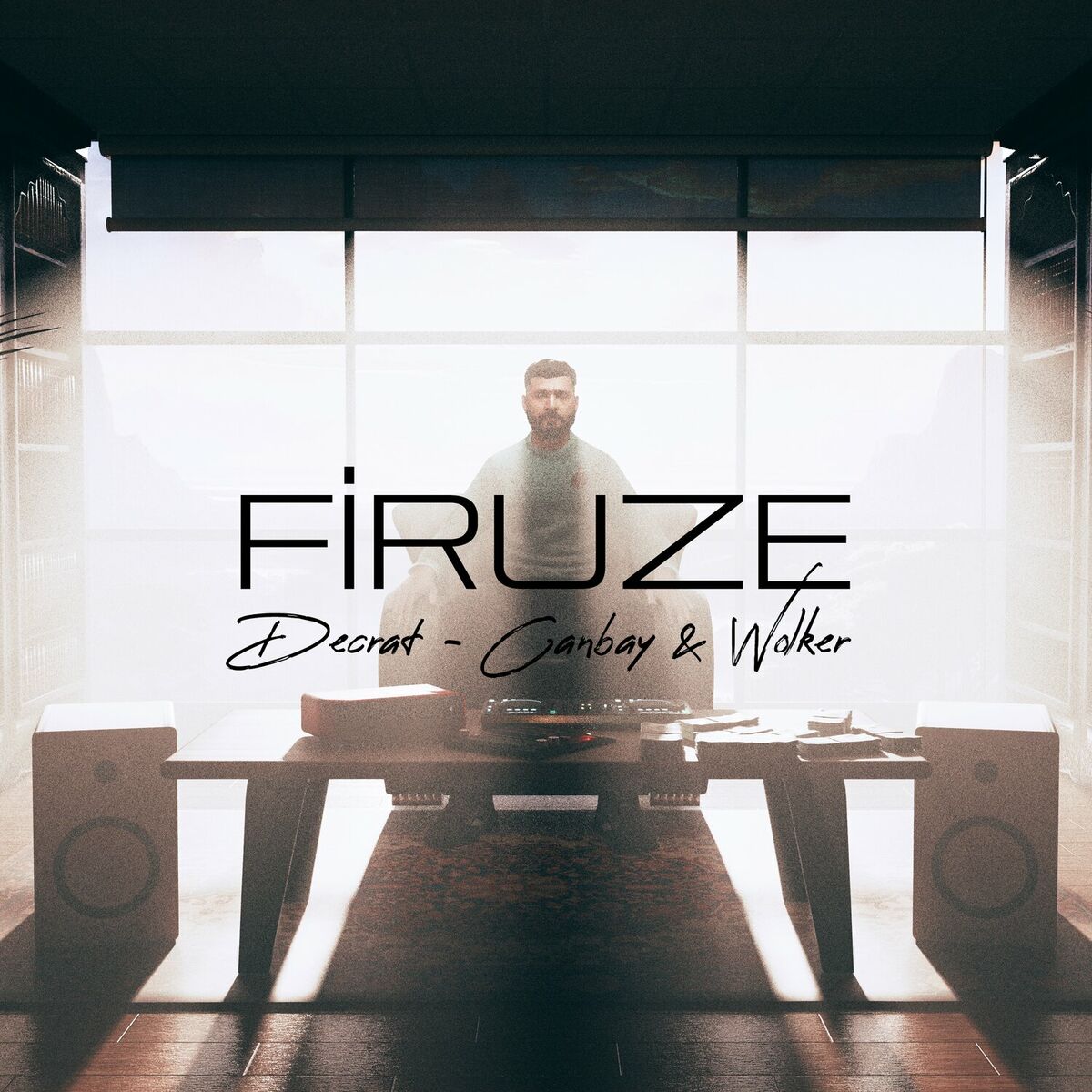 Album cover of Firuze