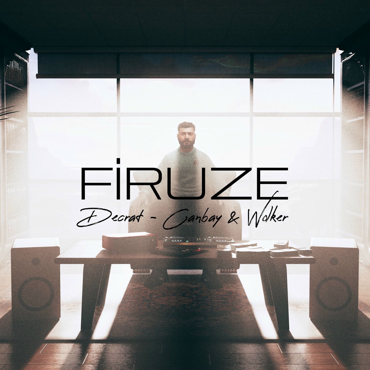 Album cover of Firuze