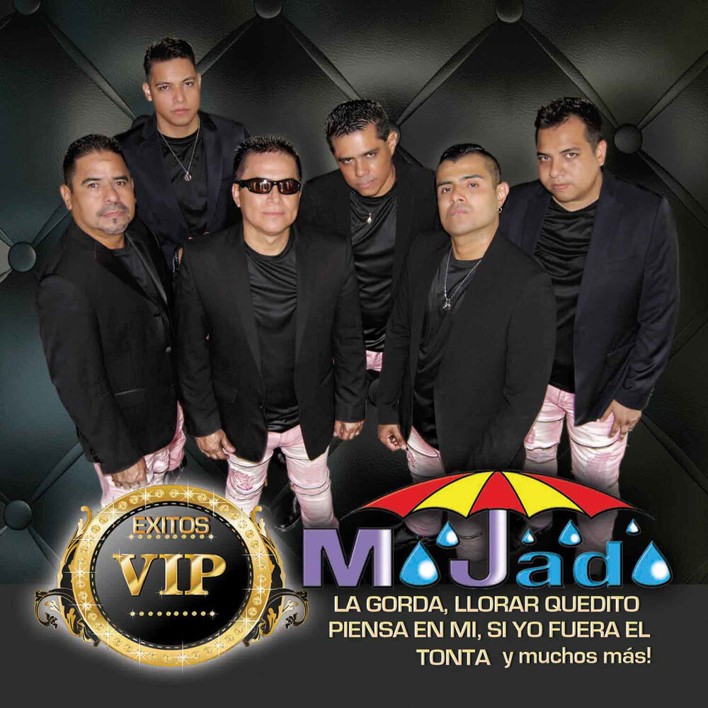 Picture of Éxitos VIP
