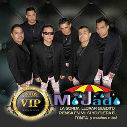 Cover of Éxitos VIP