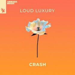 Cover of Crash