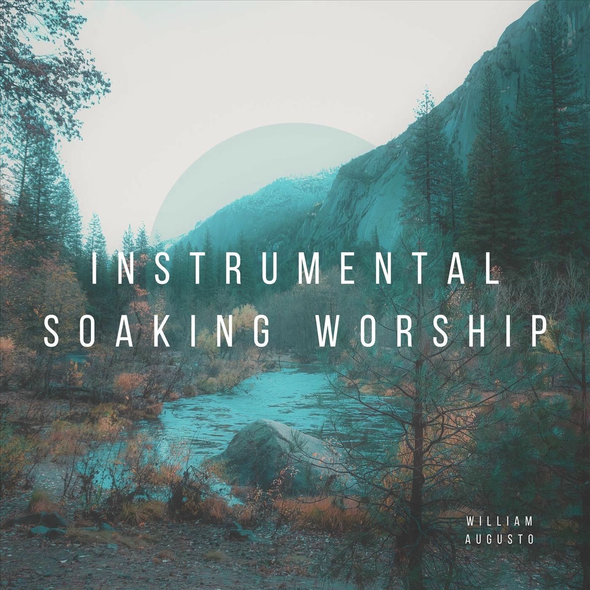 Album cover of Instrumental Soaking Worship