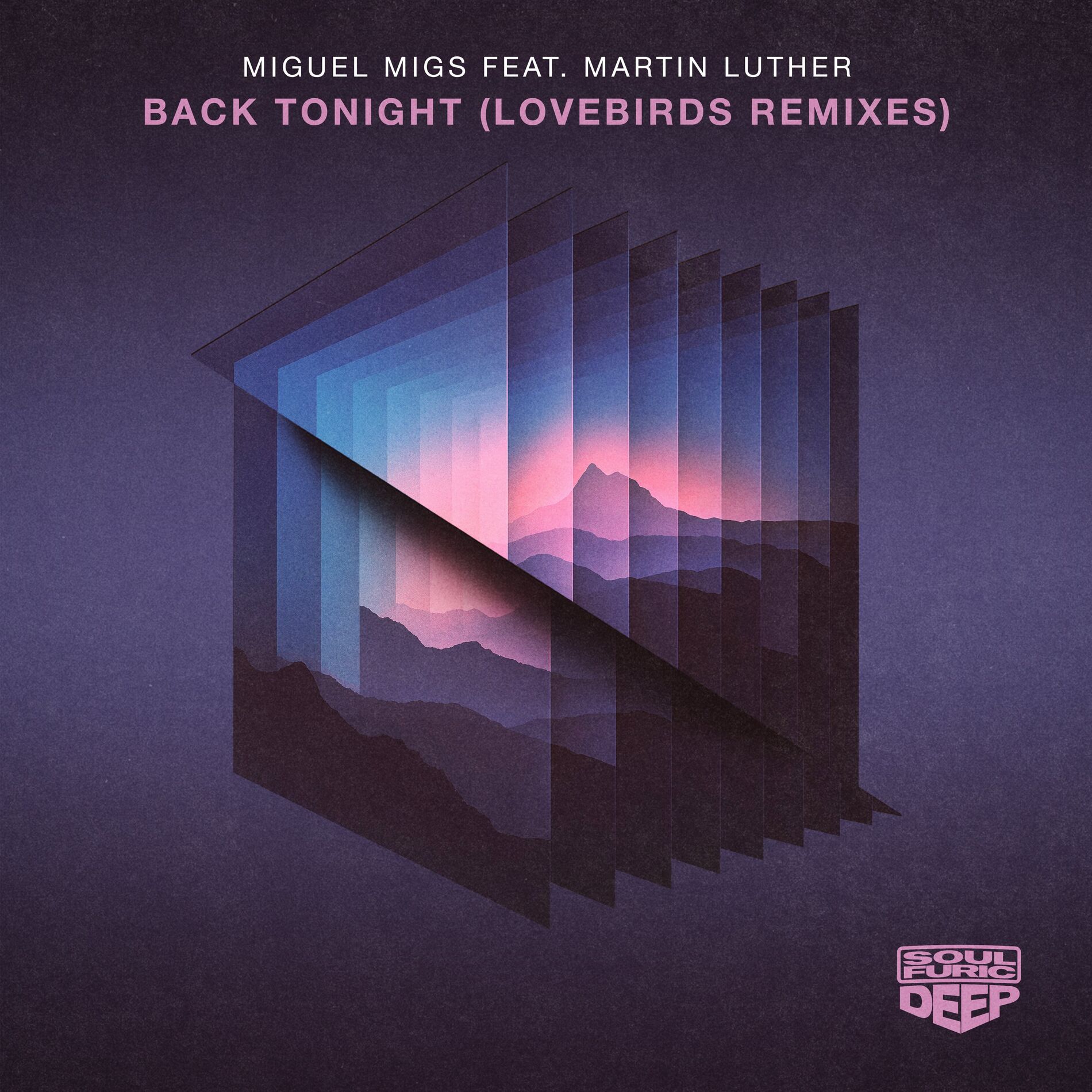 Album cover of Back Tonight (Lovebirds Remixes)