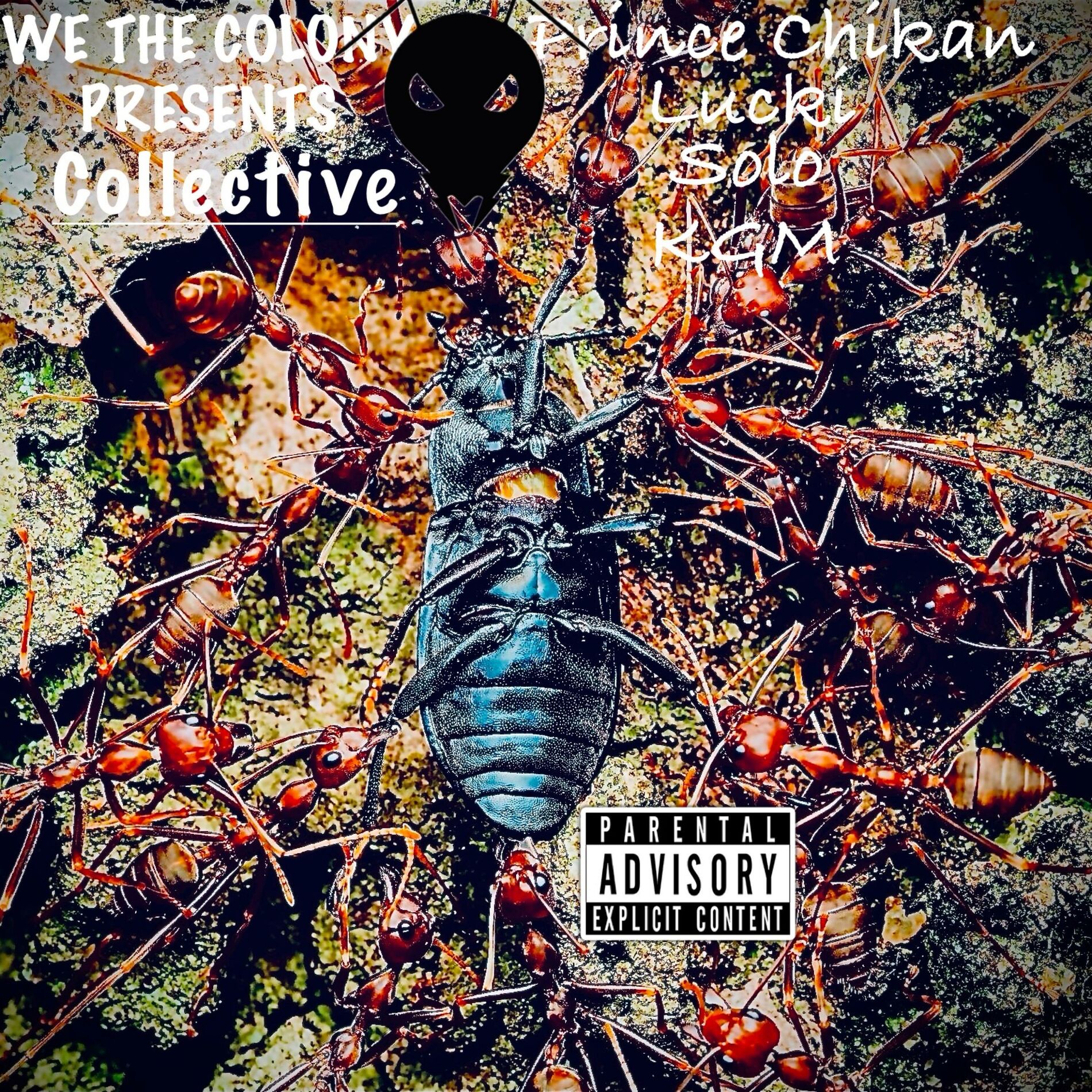 Album cover of Collective (feat. Prince Chikan, Lucki, JuneSolo & KGM)