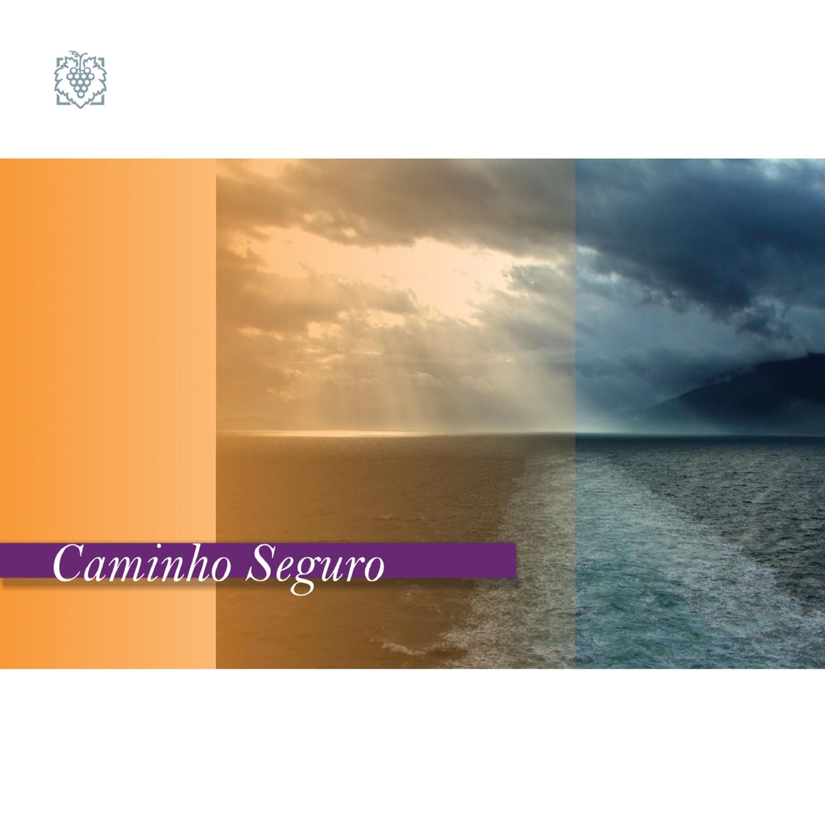 Album cover of A Lei do Senhor É Perfeita