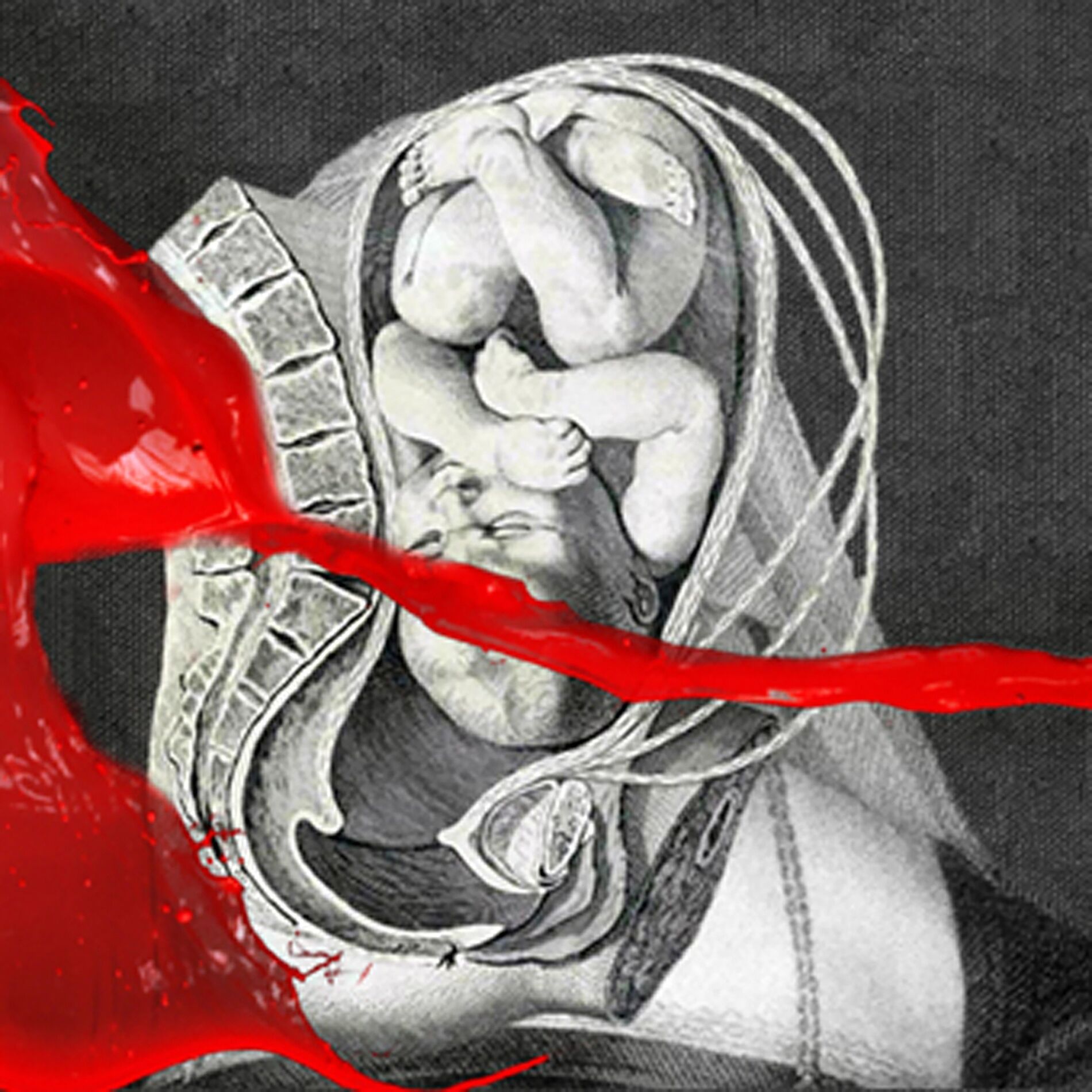 Album cover of Animal Impulses