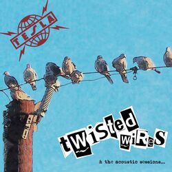 Cover of Twisted Wires
