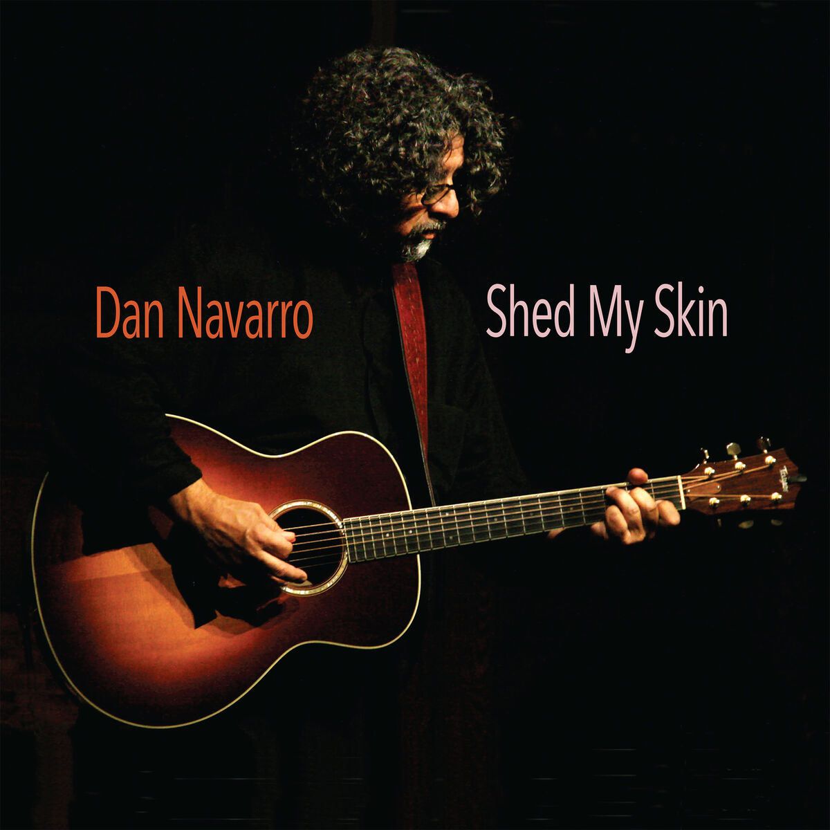 Album cover of Shed My Skin